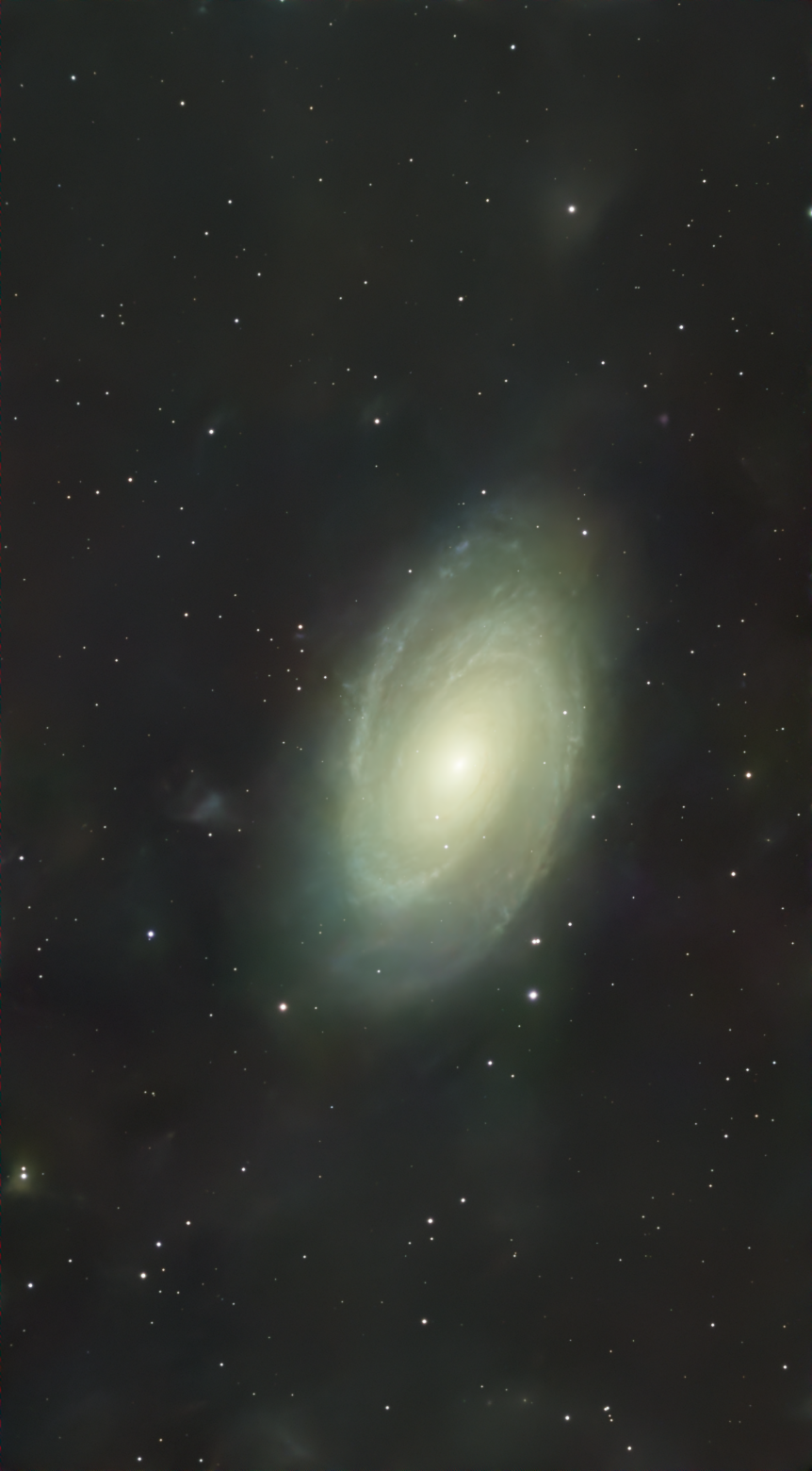 Bode's Galaxy - M81 - NGC 3031